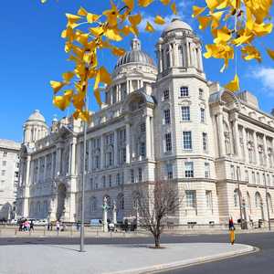 Explore Liverpool at your own speed with hop-on hop-off bus tours – Panoramic views, audio guides, and unlimited stops in 2026